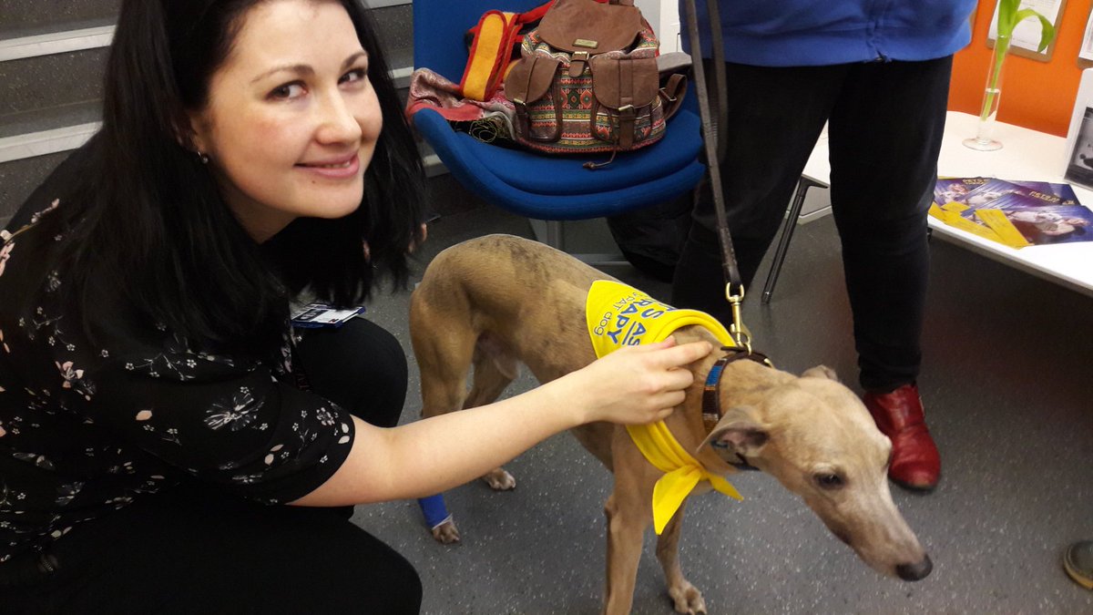 KateClarkInfo4U's tweet photo. A Kat (our Kat) - and a dog. @RCNLibraries #ExpertTeas Meet a therapy dog in progress till 1 p.m. https://t.co/PhZvk0zFgx