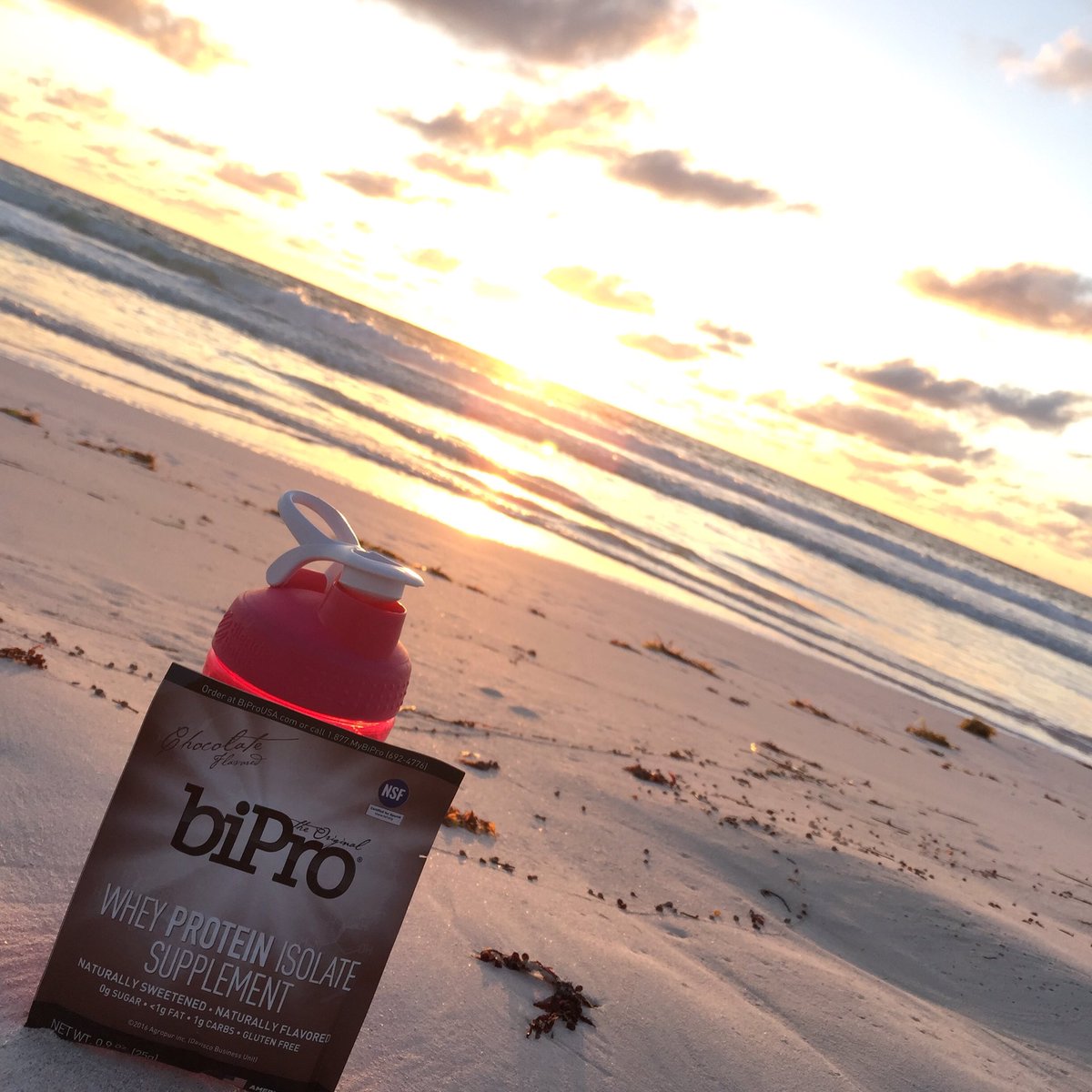 nacholeber's tweet photo. Sunrise, the perfect time for a run on the beach. @BiProUSA is there when I'm done. Have a great day everyone. #goodvibes #leanclean https://t.co/rCKvIBtUD7