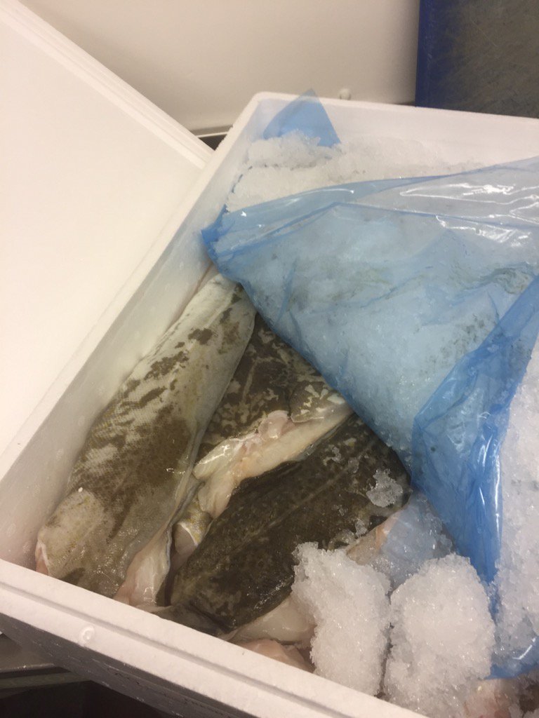 davidwitts16's tweet image. #WorcestershireHour direct today MSC Cod Fillets absolutely stunning on special all this week 😋😋😋🐟🐟🐟🐟🌊🌊🌊