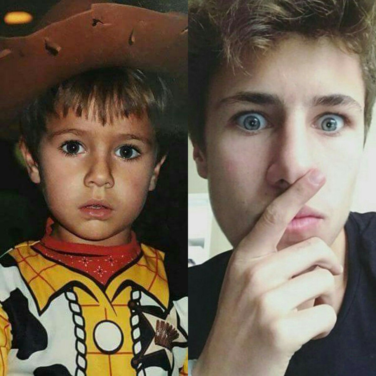 Fernanda tweet media