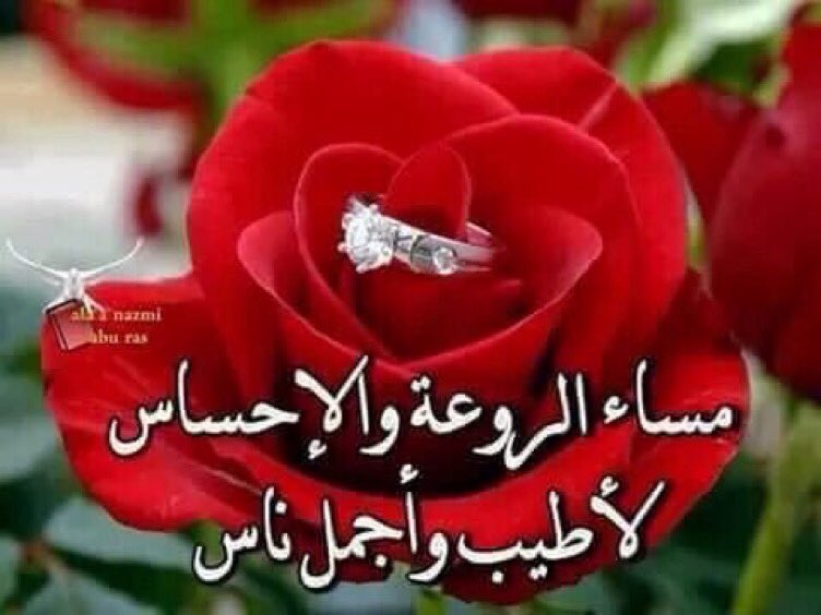 توفي بنت الامير tweet media
