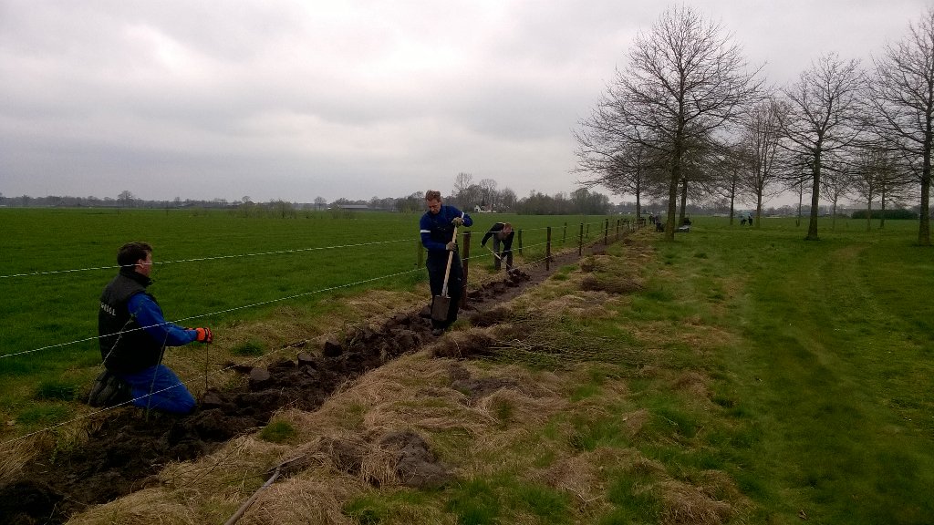 Barenbrug_MD's tweet photo. #HelpingWithHands #Barenbrug employees planting Shrubs at a social working place of #LegerdesHeils Lunteren https://t.co/9Ramgiq8oN