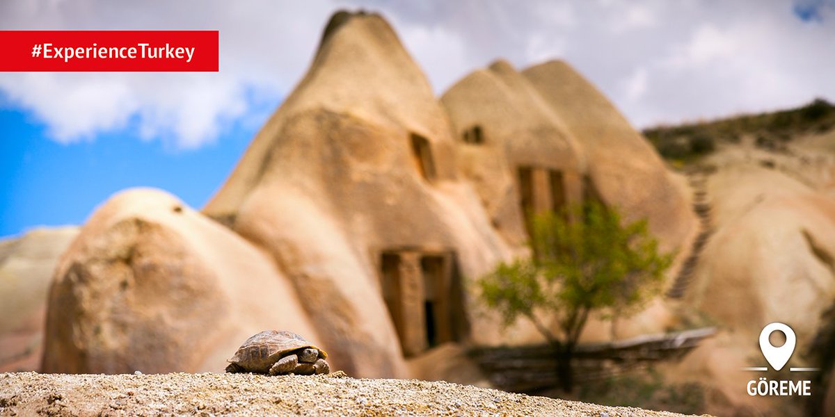 GoTurkiye's tweet photo. Sometimes all you need is to relax and to retire into your shell… #ExperienceTurkey #Goreme https://t.co/k450ePF14t