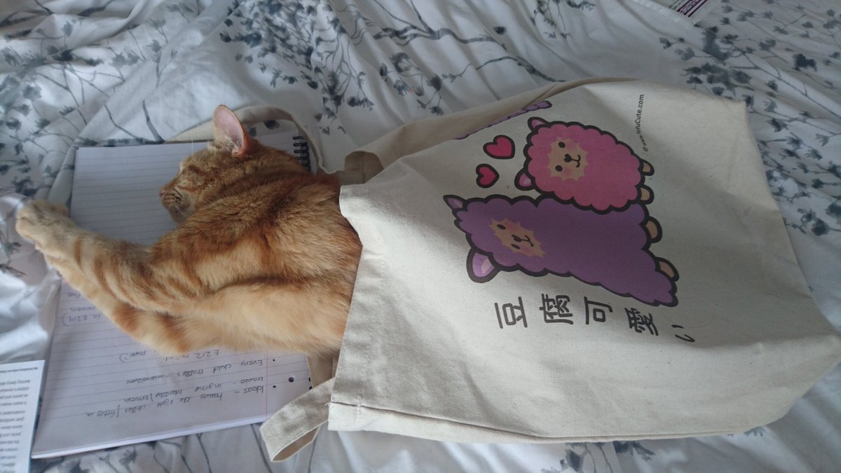 KarenGreenaway1's tweet photo. @tofu_cute @Louxion The cat's out of the bag... https://t.co/xiqRC7waT8