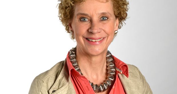 Politiek, ga een de slag voor de energietransitie! Die oproep doet Statenlid <a href="/EllenVerkoelen/">Ellen Verkoelen</a> in de #CDAZH-blog: cda.nl/zuid-holland/a…