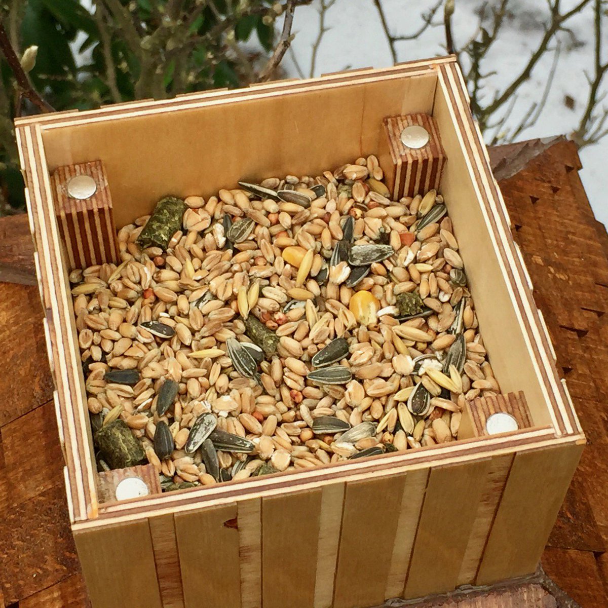 Alexander Wegner On Twitter Diy Fly In Diner Wooden Bird
