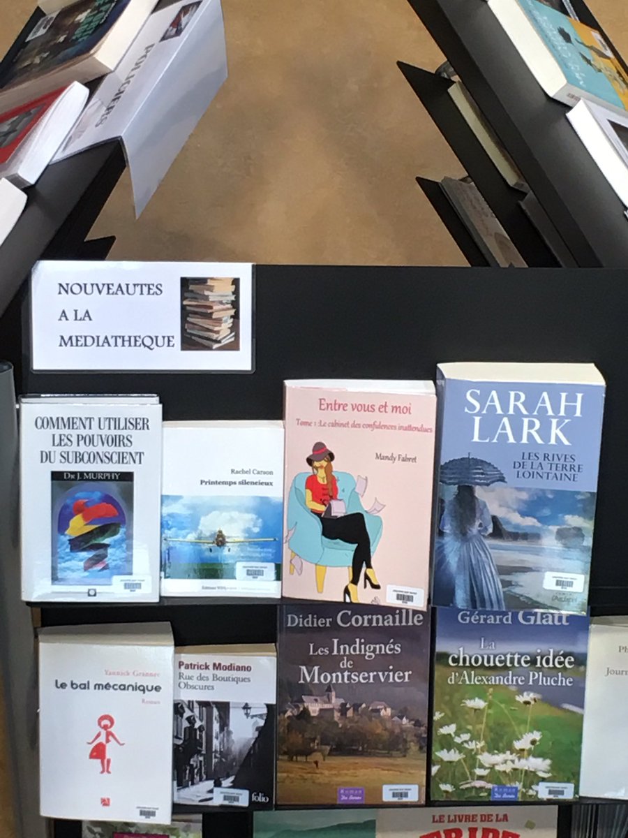 FabretMandy's tweet photo. Quand tu retrouves ton livre en Mediatheque c est trop top! Hiiii Je suis happy 😍😁😊❤📚#JSV30 @Ville_JSV https://t.co/ITcbBSbSRV