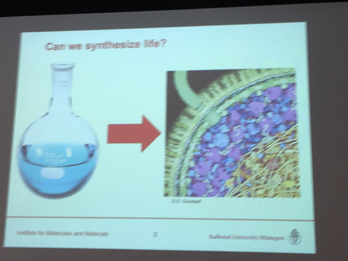 NZbioinno's tweet photo. Can we synthesize life #synbio asks Wilhelm Huck at @Novozymes #scienceinfusion seminar @SynBioBeta @Radboud_Uni @ICDK_CPH @synenergene https://t.co/Iwd0t5ZVlQ