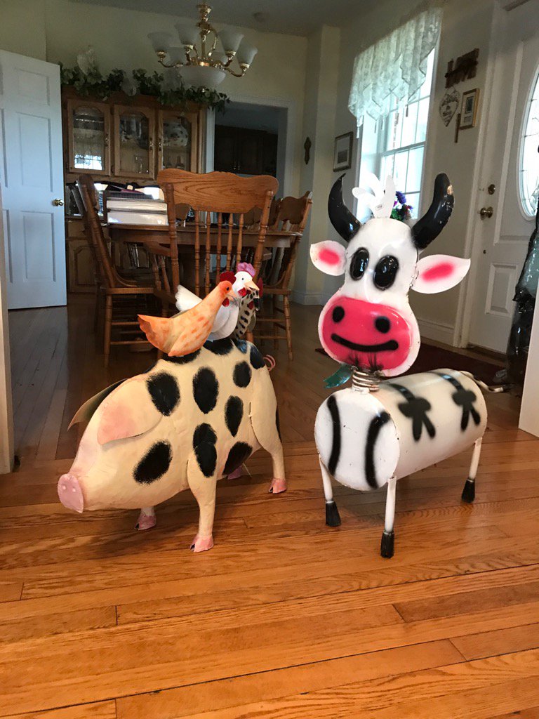 kackleberryfun's tweet photo. Look at who living at Kackleberry Farm this fall. So darn cute https://t.co/5nq97waHH8