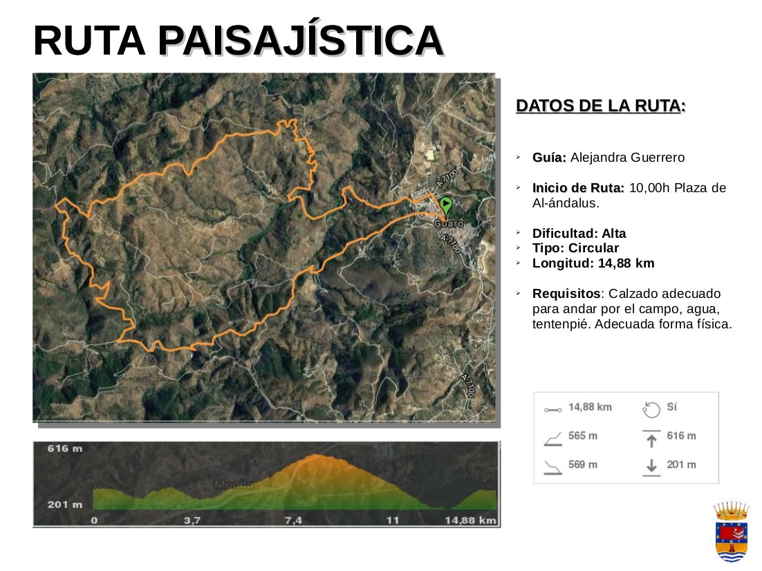 Ayuntamiento Guaro tweet media