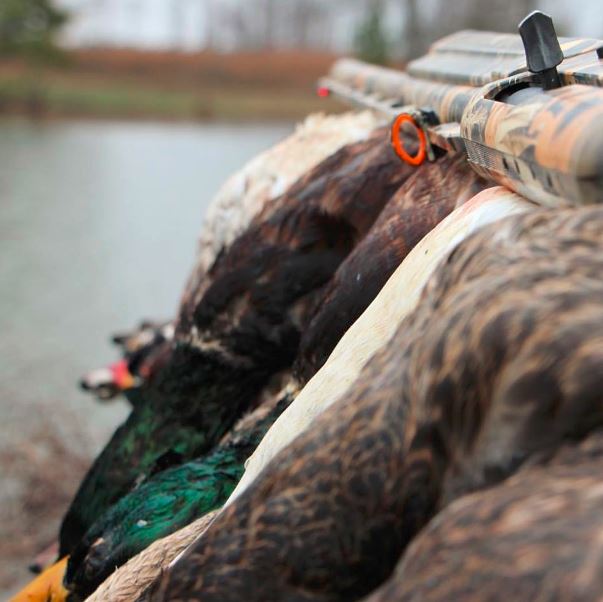 deadringerhunt's tweet photo. The #DuckBuster doing its job
#WaterfowlWednesday https://t.co/nYmxAi6XSA