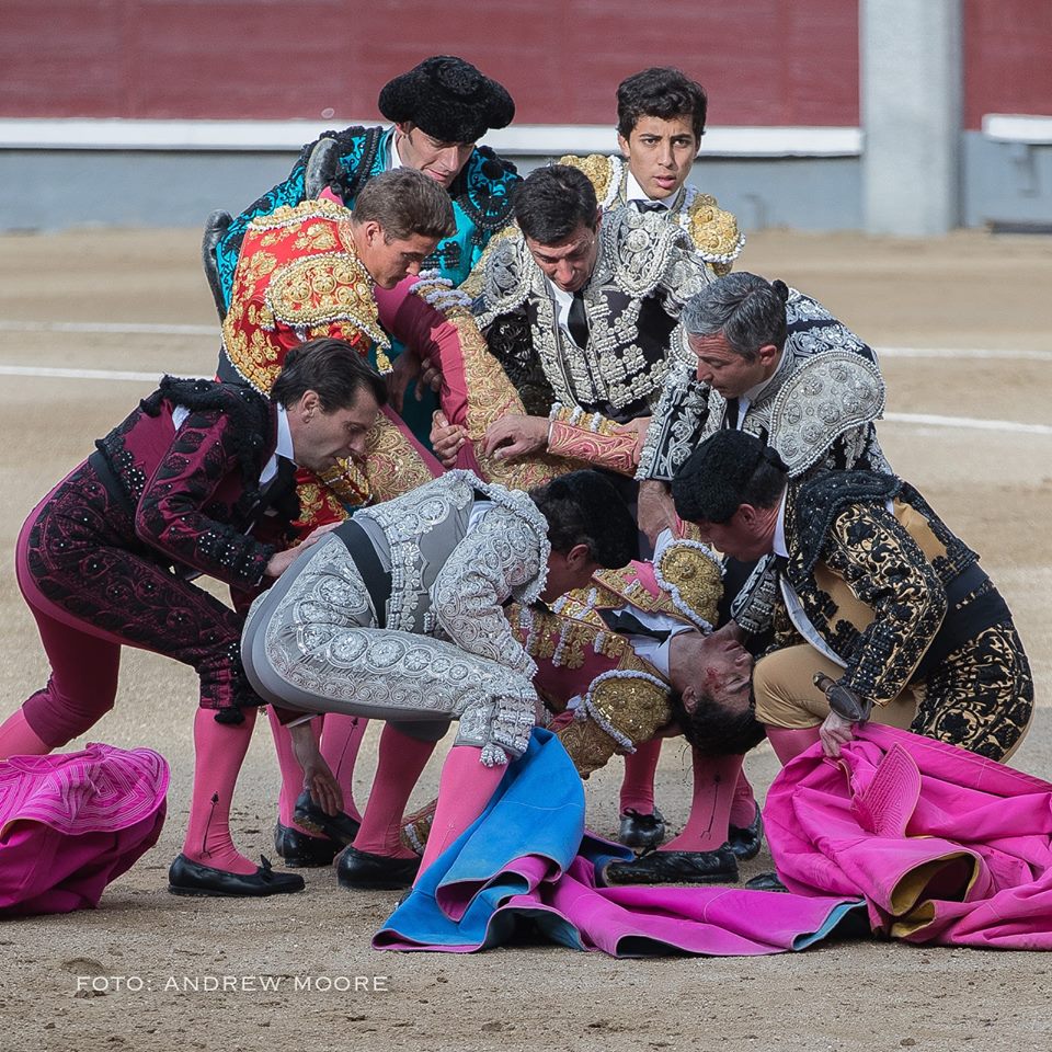 Belleza, grandeza y ética sobre una foto de <a href="/andrewmoore100/">Andrew Moore</a> ( J.P. Cazajus)
torear.blogspot.com.es/2017/03/bellez…