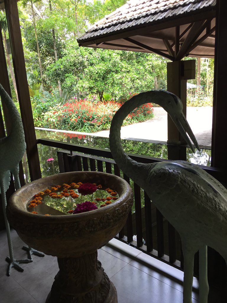 lil_pomegranate's tweet photo. Amazing change in landscape as we reached tea garden regions🇧🇩. Gorgeous resort too 😍 #teaaddict #cometothesource https://t.co/YKvr92UEbz