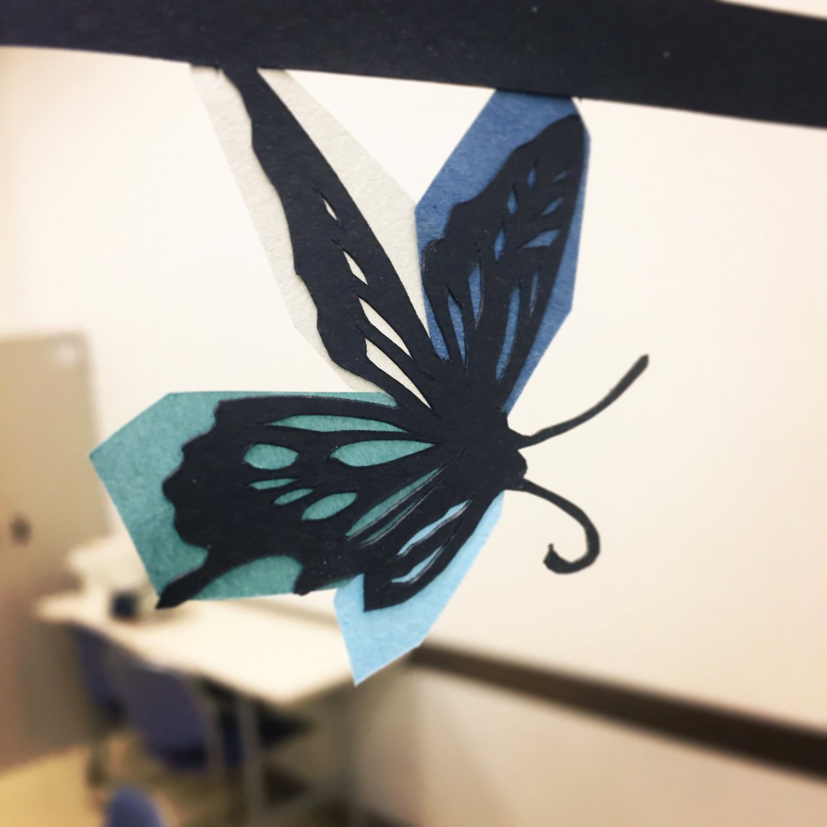 切り絵作家 草太 今日の切り絵 蝶 フリーハンド いろ紙使用 フリーハンド切り絵 チョウチョ