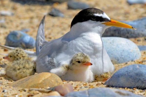 Winterton-On-Sea tweet media