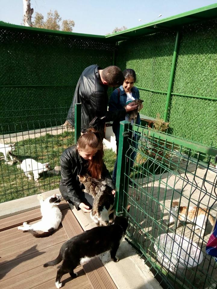 BucaBld's tweet photo. Can dostlarımızı sıcak yuvalarına tek tek uğurluyoruz..
Buca Bld. Sokak Hayvanları Rehabilitasyon ve Sahiplendirme Merkezi; 0232 453 88 89 https://t.co/gYgbh2rbrm