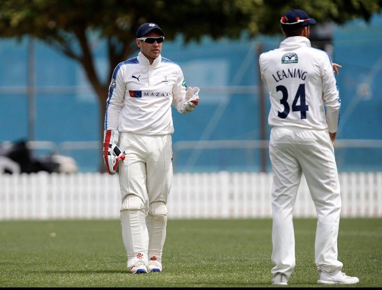 payntr cricket spikes