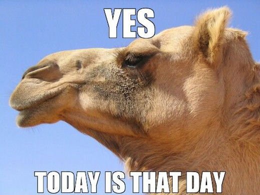 PervidaHealth's tweet photo. Happy Hump Dayyyyyy!!!
#Pervida #Pervidahealth #Healthwater #Wednesday https://t.co/bcEsYahCYw