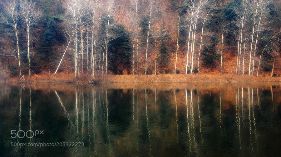 320dpi's tweet photo. whitewood par cheonsangcho https://t.co/ggTWUUrN0S via #photo #landscape #amazing https://t.co/bWO98Zpmbf