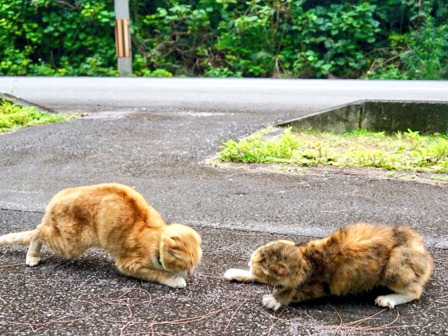 Hegwin Hegwin Twitter Hegwin Hegwin Twitter