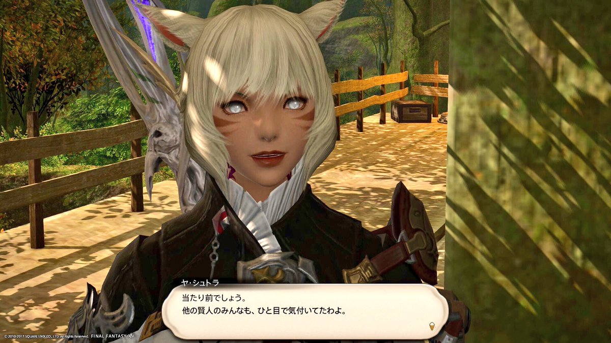 Soma Schicksal 日記 ソーマの妄想帳その５ ３ ５６のお話 Final Fantasy Xiv The Lodestone