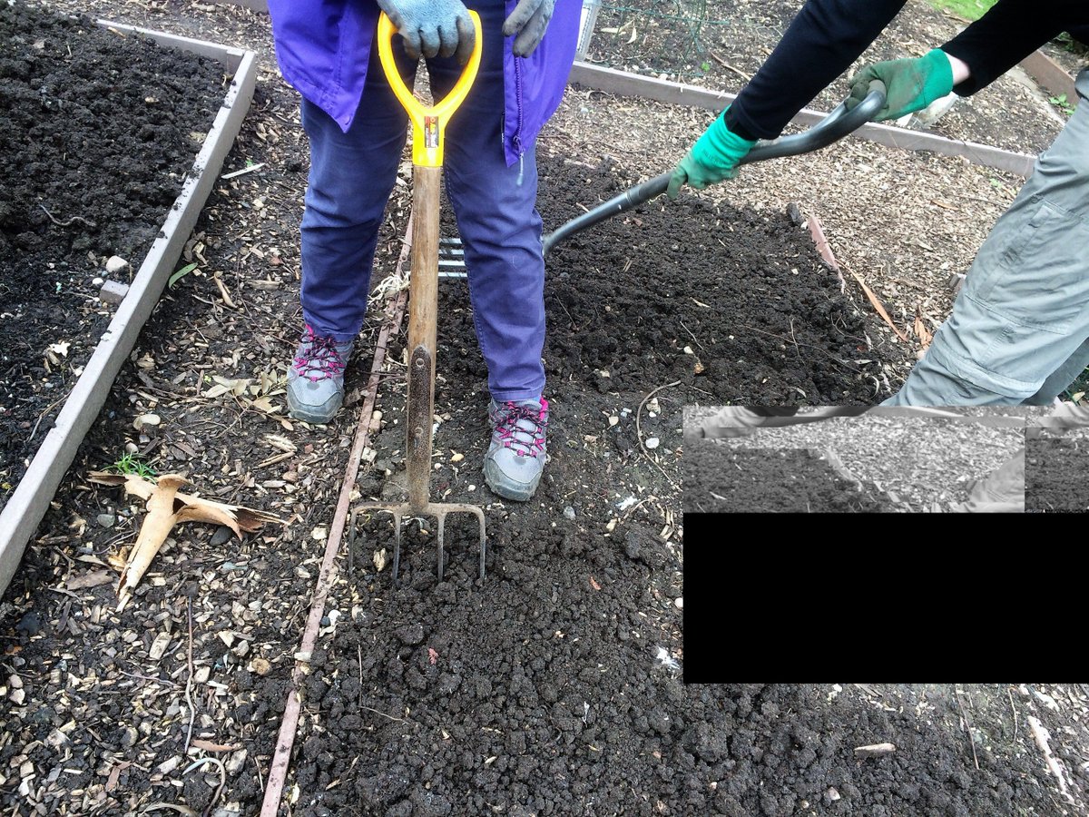 martineau27's tweet photo. We're digging over the Veg Beds today. Need some gardening inspiration? Food Growing Event, Sat 22 April 2pm https://t.co/rCIpI2VHR5 #BigDig https://t.co/DLvo7TZgMI