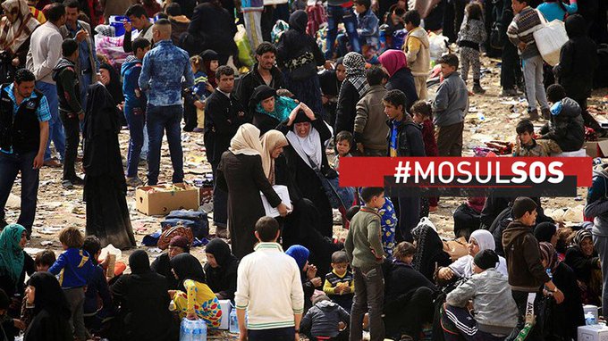 View image on Twitter