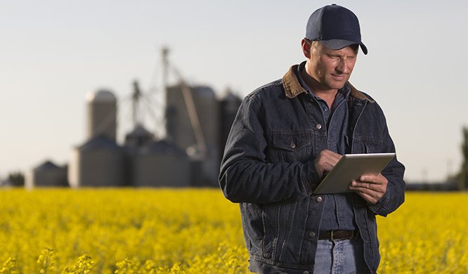 Nous sommes fières de concrétiser notre solution numérique destinée aux producteurs et aux détaillants! <a href="/NurunMTL/">Nurun Montréal</a> bit.ly/2oguDCD