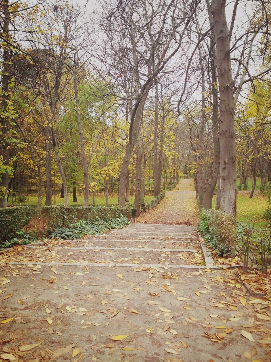 MARIAJESUSIESTA's tweet photo. @Amstel_ES #VideoclipEnTuCalle mi paseo favorito está dentro de la ciudad. El Retiro. https://t.co/UBLI7AUYsA