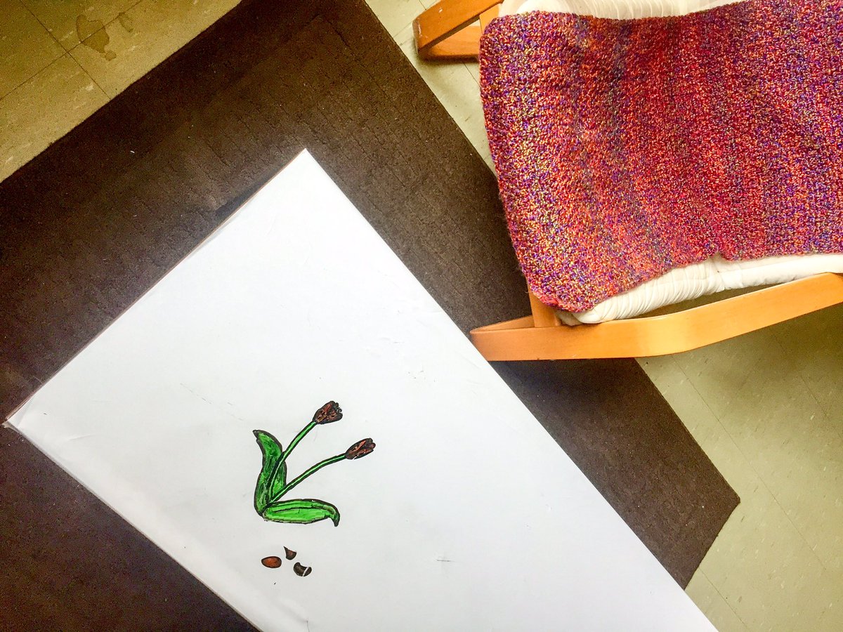 Steps Intermediate tweet media