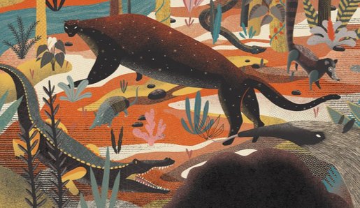 BoChildrensBook's tweet photo. #JuanPalomino is the #BCBF16 - @Fundacion_SM International Illustration Award winner. We interview him on his book: https://t.co/beFUO3awII https://t.co/ZIIXmfNyhb