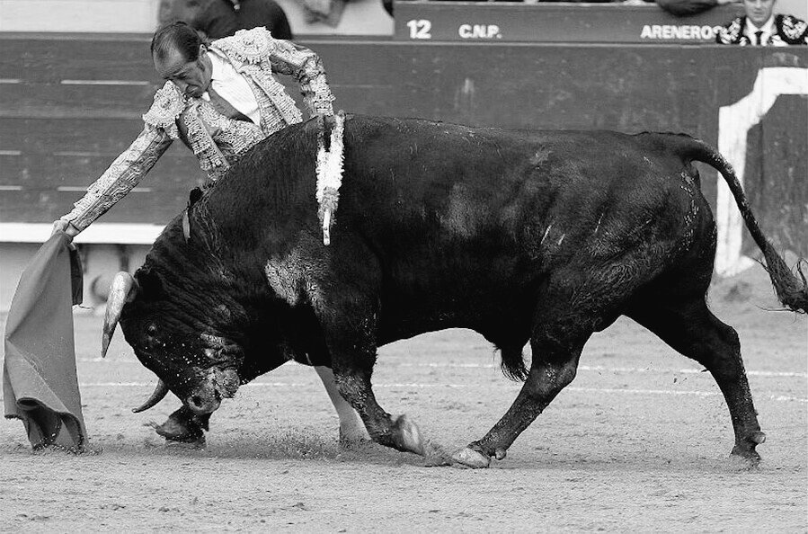 Luís Francisco Espla.