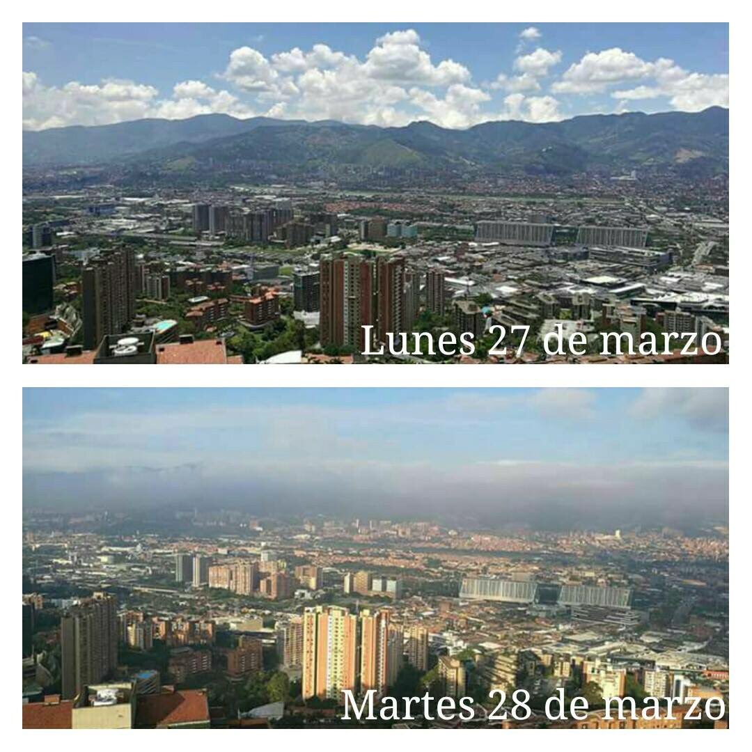 LinisCardona tweet picture