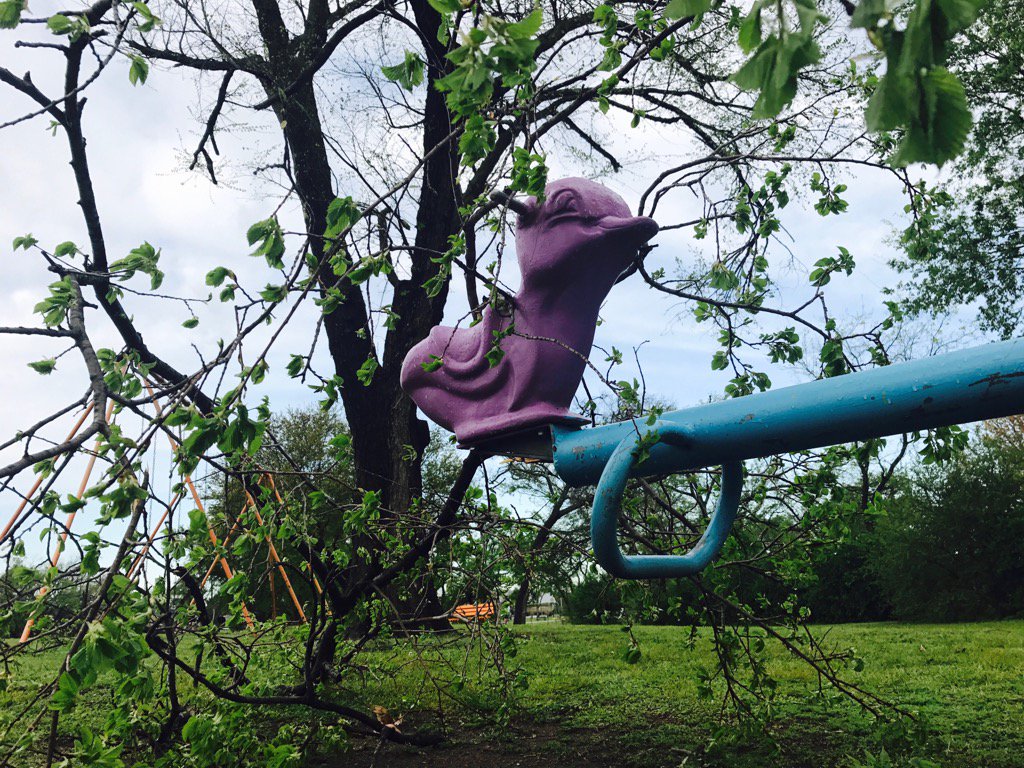 cjenningshd's tweet photo. Limbs down all over the place at Fairview Park in Sherman. Mostly small stuff. Haven't seen anything significant. https://t.co/5yopoL8yp7
