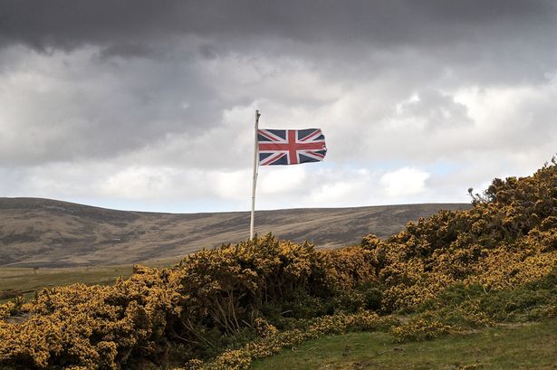 FarmingUK's tweet photo. 'Farming must be front and centre of #Brexit negotiations': Industry reacts to official start of UK leaving the EU: https://t.co/6WmGcvRo2H https://t.co/6Q8fLYfzDO