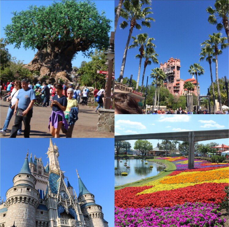 8nnk31's tweet photo. フロリダディズニーワールド！ https://t.co/AS00FjjysJ