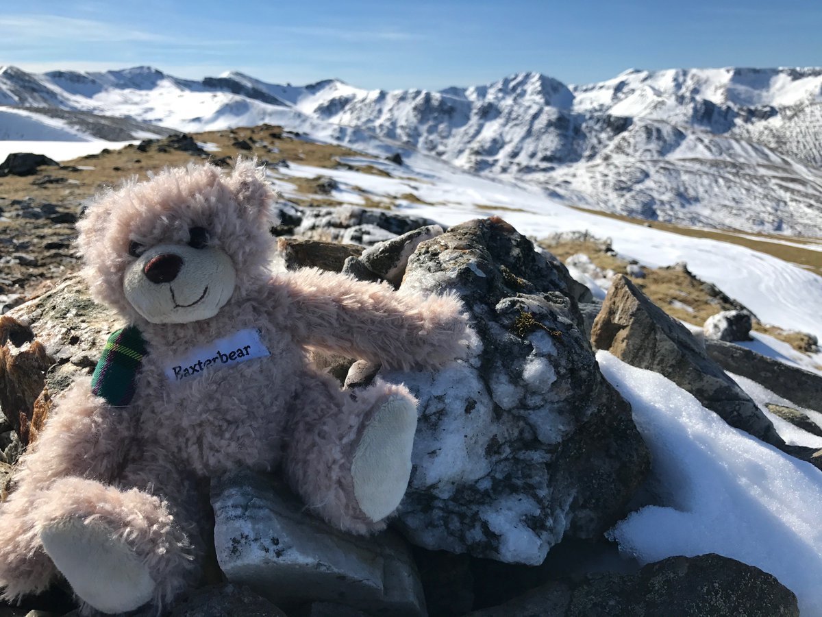 Baxterbearsays's tweet photo. Feeling positive to have some mountain air. Where has your Baxterbear been? #TREEKLED @ReadCollege https://t.co/U4lAX9RWe9