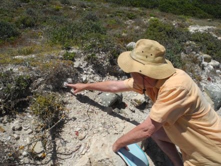 WestCoastFossil's tweet photo. This Fri 31 March listen to John Parkington: Shell Middens as Historical Evidence - Replay of #Culture #Food #prehistory
BOOK: 022 766 1606 https://t.co/DOdCPD65L1