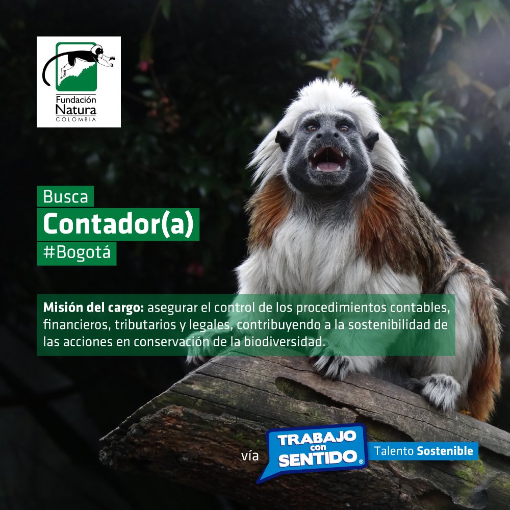 matteria_'s tweet photo. #Bogotá Perfiles en gestión contable motivados por la conservación: @fundacionnatura busca Contador(a): https://t.co/LpvozJA4K5 https://t.co/d95imzyPMK