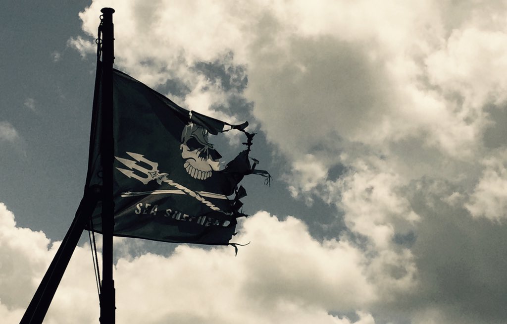 Soflagiraf's tweet photo. On board #seashepherd https://t.co/4P6EyFcBWT