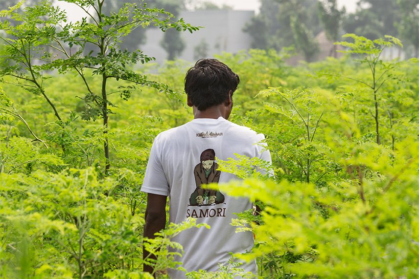 sanleaf's tweet image. In einer Woche geht es nach #Indien auf unsere #Moringafarm – und Euch nehmen wir mit!😉

#moringa #fitness #vegan #Travel #moringapulver