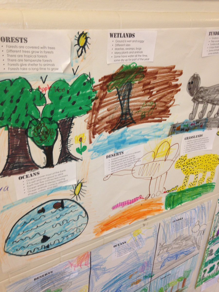 bfyanceyes's tweet photo. Animal habitats! https://t.co/K8WfDtFDrN