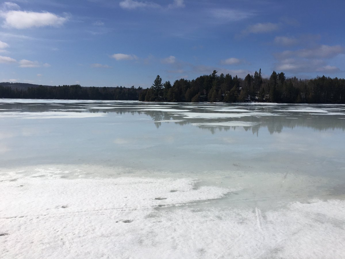 Swift_Canoe's tweet photo. We were skeptical of #WiartonWilly so we checked ice levels on #SourceLake in @Algonquin_PP. 24" of ice. Spring eludes us. #springfever https://t.co/pyctcZeG6d