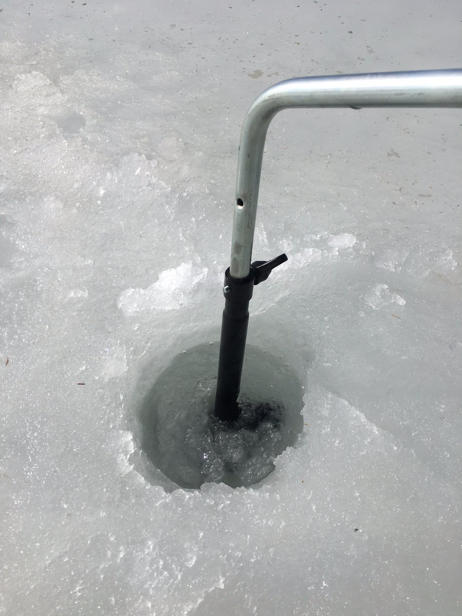 Swift_Canoe's tweet photo. We were skeptical of #WiartonWilly so we checked ice levels on #SourceLake in @Algonquin_PP. 24" of ice. Spring eludes us. #springfever https://t.co/pyctcZeG6d