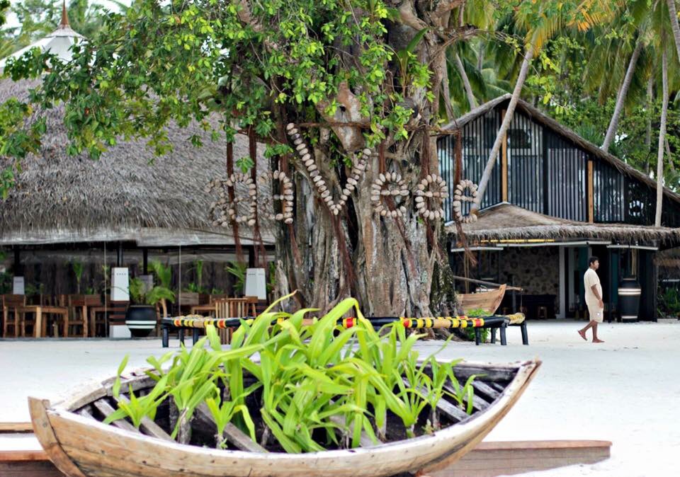 ElliolMaldives's tweet photo. Experience @aaaVeeeParadise Luxury 20 rooms Hotel closest to @AVelavaru , @Vilu_Reef , @PAQNiyama &amp; @FilitheyoResort in Dhaalu Atoll. https://t.co/qlv8tFV3sX