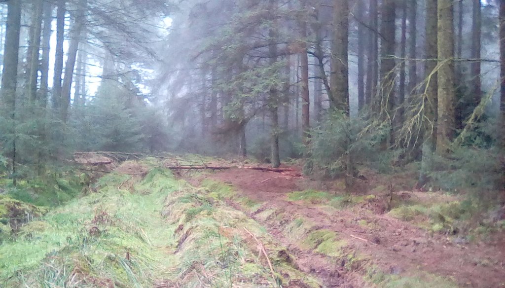 FVGeography's tweet photo. Great day in Dalby forest! https://t.co/DOum2reYKM