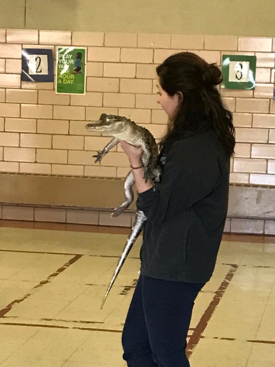 HamCo4H's tweet photo. Clover Kids: Kindergarten - 3rd Grade, meets 4x/year
Games, snacks, visits from @blankparkzoo 
What's not to love?❤️🍀
#HamCo4H #CloverKids https://t.co/bP8v0nlwnT
