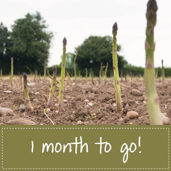 Some of you have been lucky enough to pick up some early spears, BUT there's officially just under 1 month 'til the #BritishAsparagus season