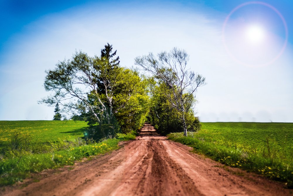 tourismpei's tweet image. Have you submitted a photo to our Picture the Island Photo Contest? We have added a new seasons category! tourismpei.com/photocontest