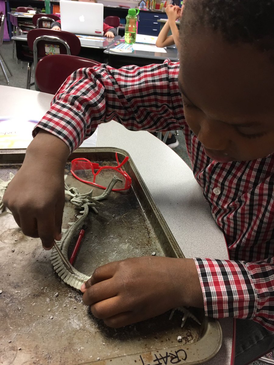 mrskaufman1st's tweet photo. So close to having our dinosaur put together!! #monthsofwork #paleontologists #firstgrade https://t.co/huAILSgEUe